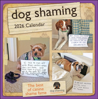 Cover image for 9781524898823 - Dog Shaming 2026 Wall Calendar