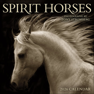 Cover image for 9781524899066 - Spirit Horses 2026 Wall Calendar by Tony Stromberg