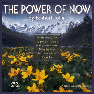 Cover image for 9781524899318 - The Power of Now 2026 Wall Calendar