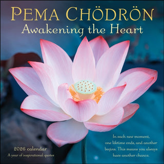 Cover image for 9781524899325 - Pema Chodron 2026 Wall Calendar