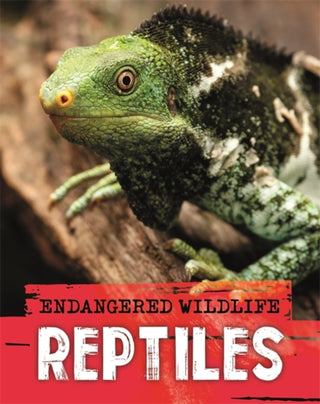 Cover image for 9781526309945 - Endangered Wildlife: Rescuing Reptiles