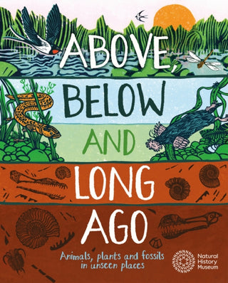 Cover image for 9781526318138 - Above, Below and Long Ago