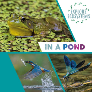 Cover image for 9781526322456 - Explore Ecosystems: In a Pond