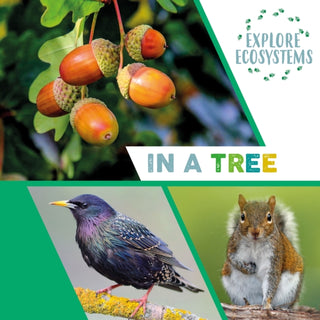 Cover image for 9781526322470 - Explore Ecosystems: In a Tree