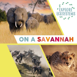 Cover image for 9781526322548 - Explore Ecosystems: On a Savannah