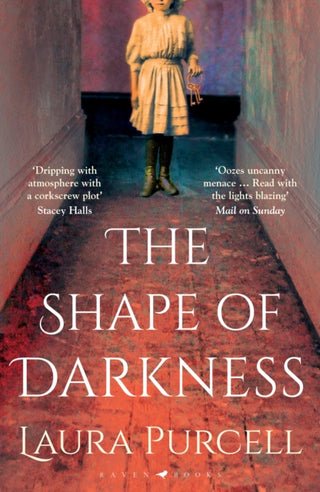 Cover image for 9781526602541 - The Shape of Darkness