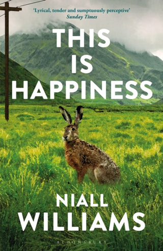 Cover image for 9781526609359 - This Is Happiness