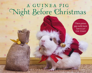 Cover image for 9781526613561 - A Guinea Pig Night Before Christmas