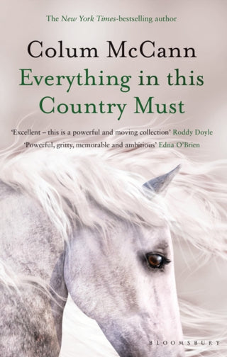 Cover image for 9781526617255 - Everything in this Country Must