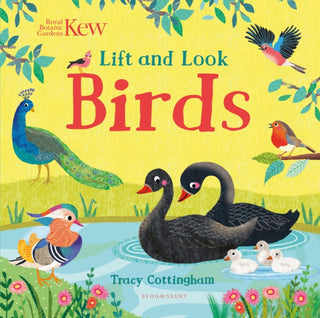 Cover image for 9781526636843 - Kew: Lift and Look Birds