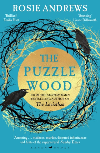 Cover image for 9781526637406 - The Puzzle Wood