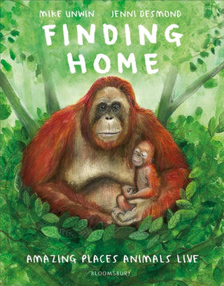 Cover image for 9781526638281 - Finding Home
