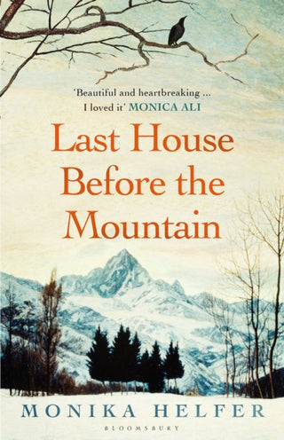 Cover image for 9781526657145 - Last House Before the Mountain