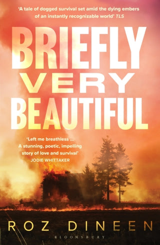 Cover image for 9781526659200 - Briefly Very Beautiful