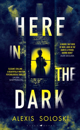 Cover image for 9781526661210 - Here in the Dark