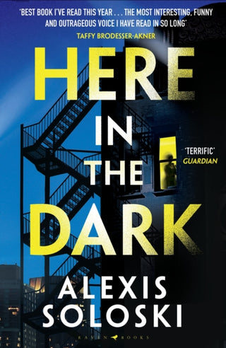 Cover image for 9781526661265 - Here in the Dark