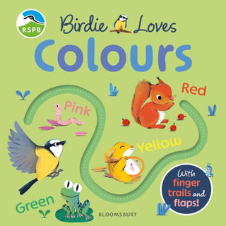 Cover image for 9781526671219 - RSPB Birdie Loves Colours