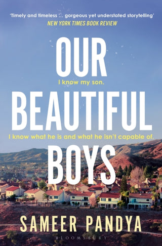Cover image for 9781526676979 - Our Beautiful Boys