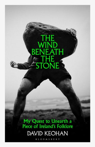 Cover image for 9781526691859 - The Wind Beneath the Stone