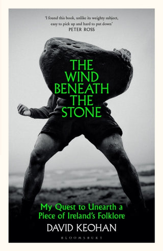 Cover image for 9781526691859 - The Wind Beneath the Stone