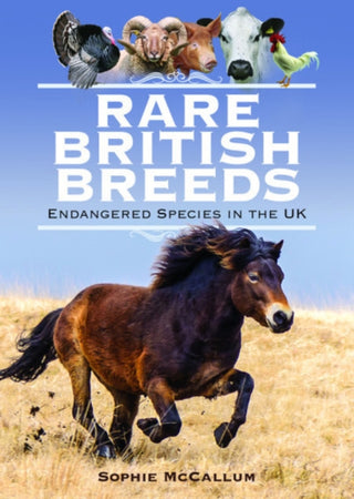Cover image for 9781526763631 - Rare British Breeds