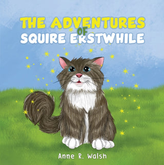 Cover image for 9781528911887 - The Adventures of Squire Erstwhile