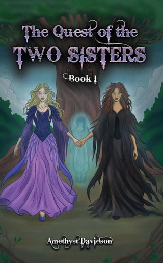 Cover image for 9781528998949 - The Quest of the Two Sisters
