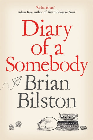 Cover image for 9781529005561 - Diary of a Somebody