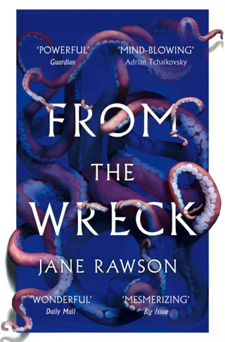Cover image for 9781529006568 - From The Wreck