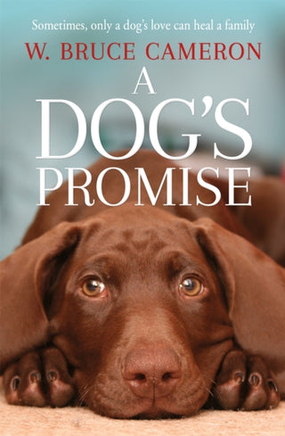Cover image for 9781529010084 - A Dog's Promise