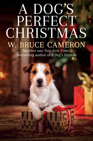 Cover image for 9781529010114 - A Dog's Perfect Christmas