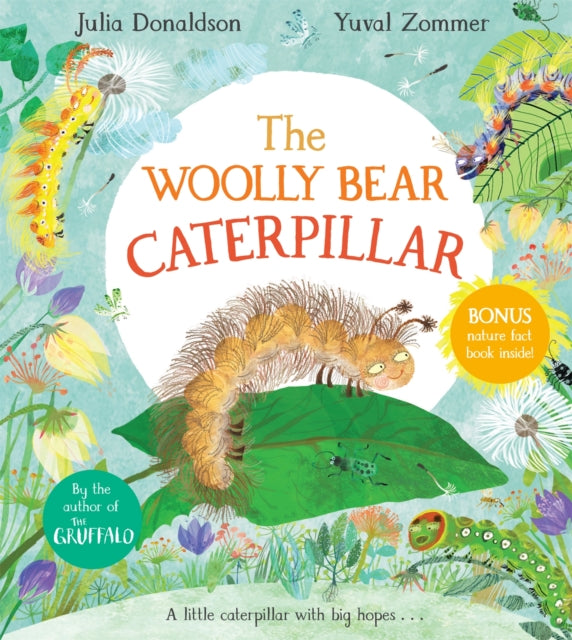 Cover image for 9781529012200 - The Woolly Bear Caterpillar