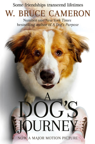 Cover image for 9781529013931 - A Dog's Journey