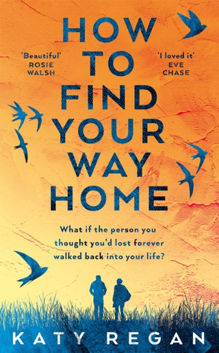 Cover image for 9781529020342 - How To Find Your Way Home