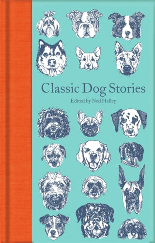 Cover image for 9781529021059 - Classic Dog Stories