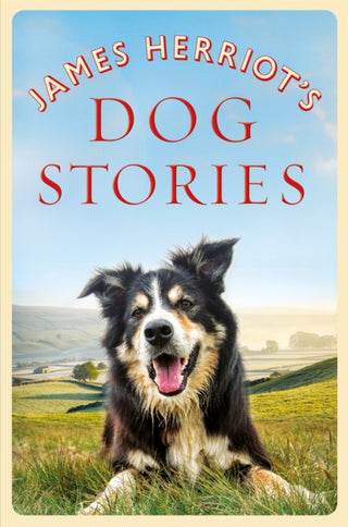 Cover image for 9781529023619 - James Herriot's Dog Stories