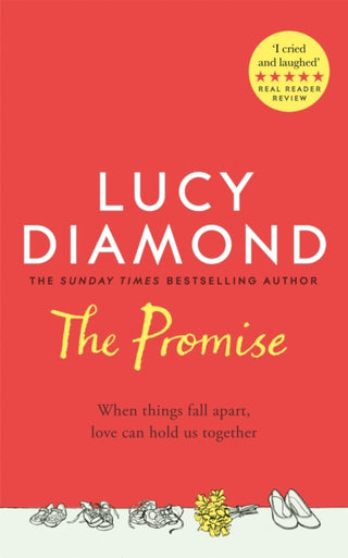 Cover image for 9781529027013 - The Promise
