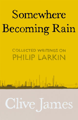 Cover image for 9781529028829 - Somewhere Becoming Rain