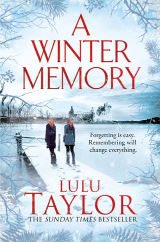 Cover image for 9781529029680 - A Winter Memory