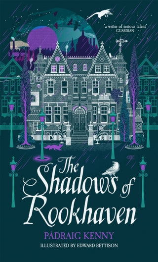 Cover image for 9781529031713 - The Shadows of Rookhaven