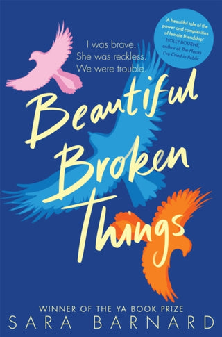 Cover image for 9781529037609 - Beautiful Broken Things