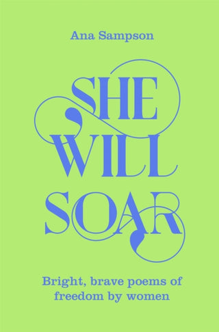 Cover image for 9781529040067 - She Will Soar
