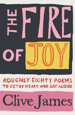 Cover image for 9781529042085 - The Fire of Joy