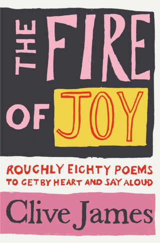 Cover image for 9781529042108 - The Fire of Joy