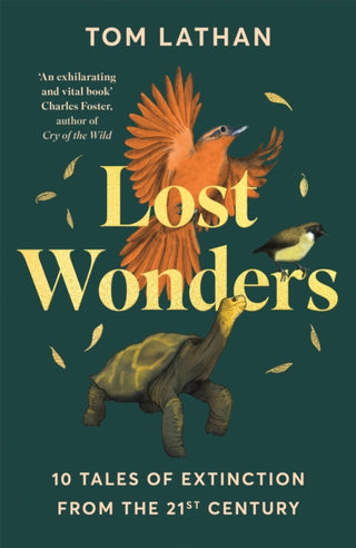 Cover image for 9781529047950 - Lost Wonders