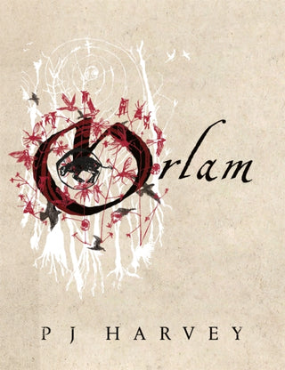 Cover image for 9781529063110 - Orlam