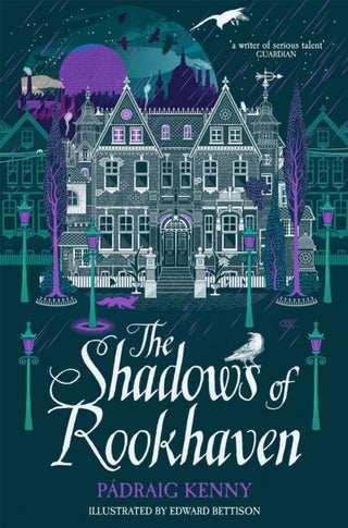 Supplemental image for 9781529065091 - The Shadows of Rookhaven