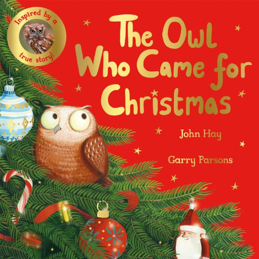 Cover image for 9781529070507 - The Owl Who Came for Christmas