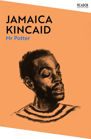 Cover image for 9781529076684 - Mr Potter