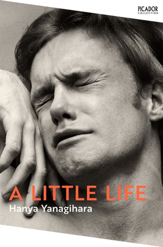 Cover image for 9781529077216 - A Little Life